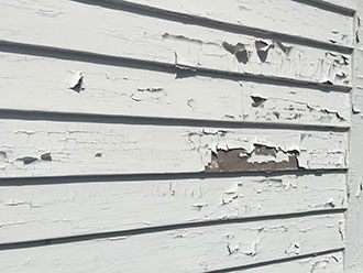Asbestos and Lead Paint Services